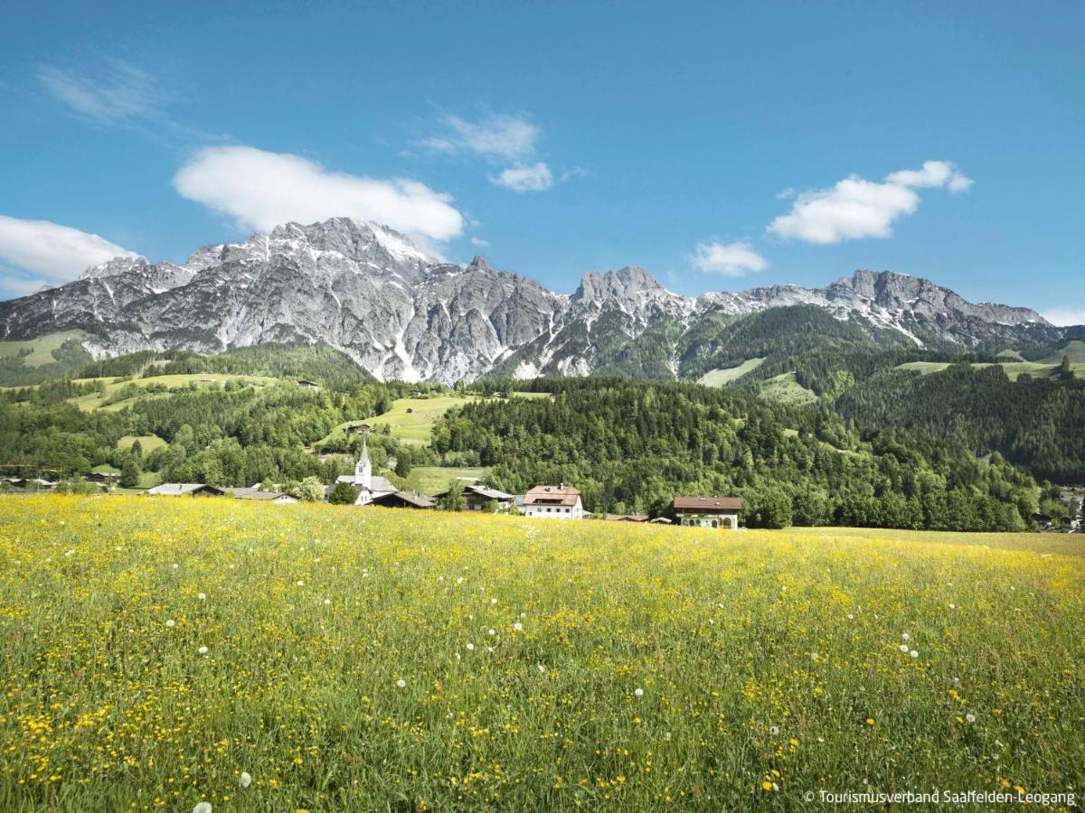 Apartment Fuerstauer By Interhome Saalfelden am Steinernen Meer Kültér fotó